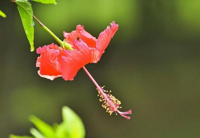 人在落魄時，做好這三件事，才能時來運轉