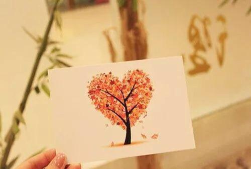 寫的真好，讀的心痛