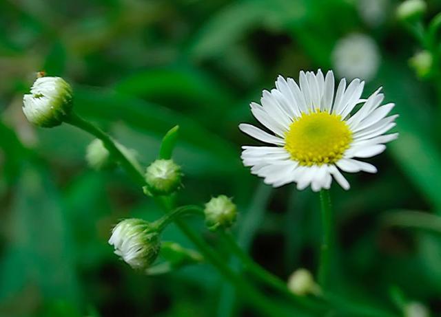 讓人舒服，你做人就成功了