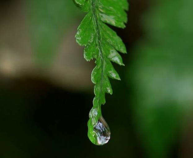 人心如鎖，心寒了，就打不開了