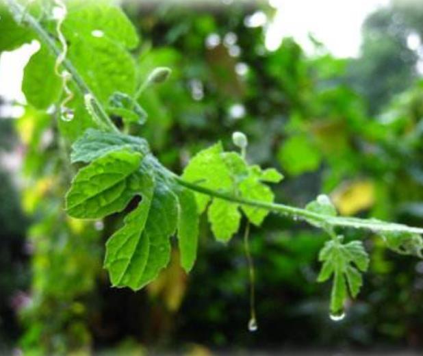 人心如鎖，心寒了，就打不開了