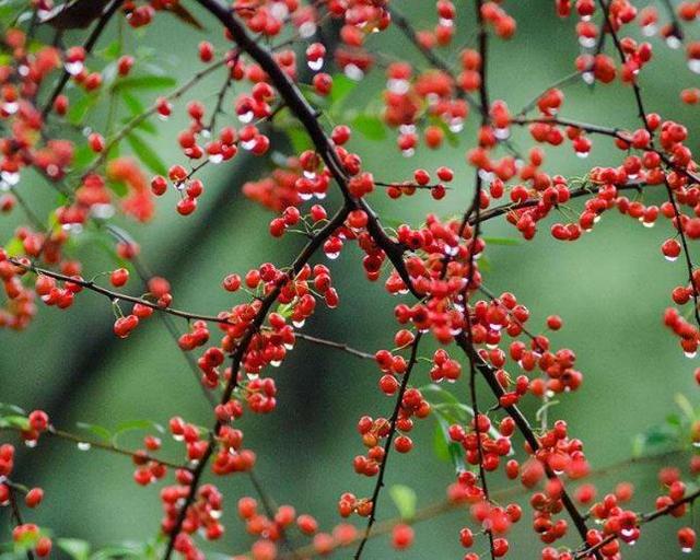 人心如鎖，心寒了，就打不開了