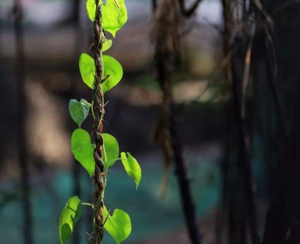 人心如鎖，心寒了，就打不開了