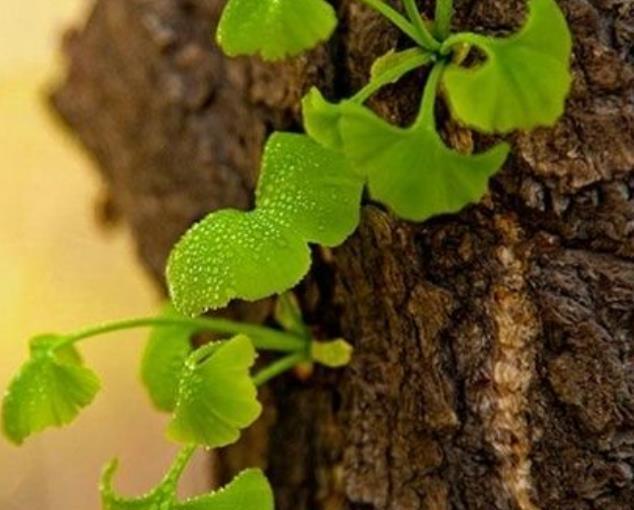 人心如鎖，心寒了，就打不開了