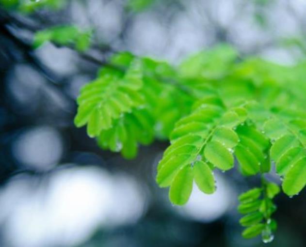 人心如鎖，心寒了，就打不開了