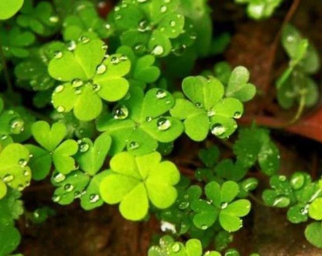 人心如鎖，心寒了，就打不開了