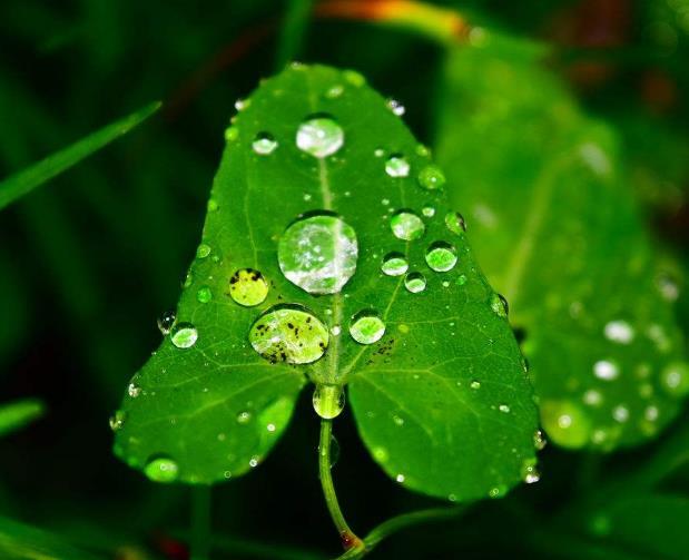 人心如鎖，心寒了，就打不開了