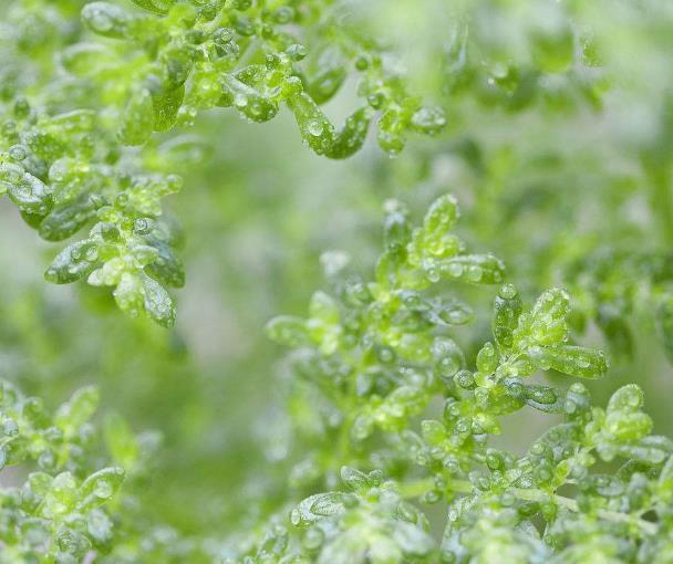 人心如鎖，心寒了，就打不開了