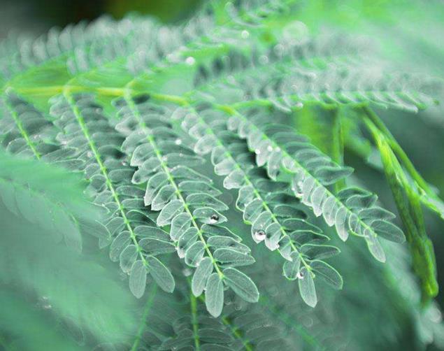 人心如鎖，心寒了，就打不開了