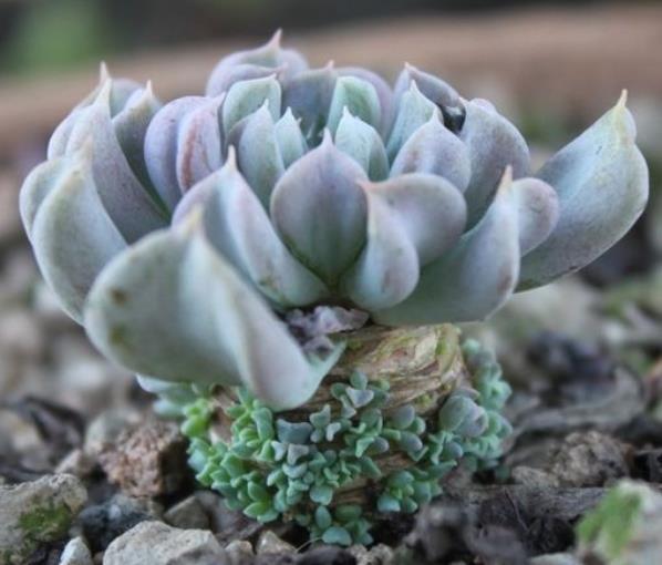 做人，要想財運連連，請做好這五件事