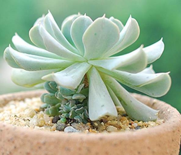 做人，要想財運連連，請做好這五件事