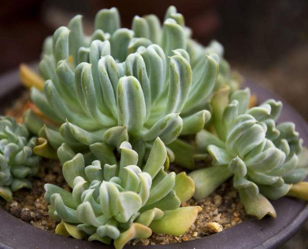 做人，要想財運連連，請做好這五件事