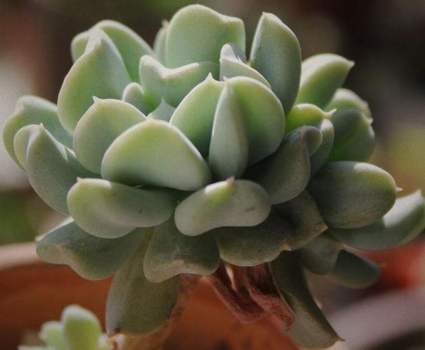 做人，要想財運連連，請做好這五件事