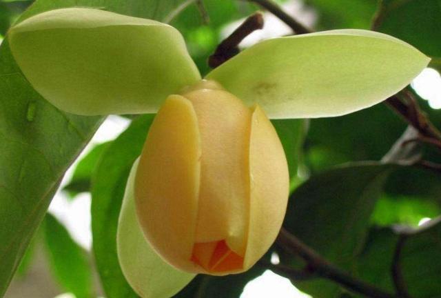 真正有故事的人，往往心如止水