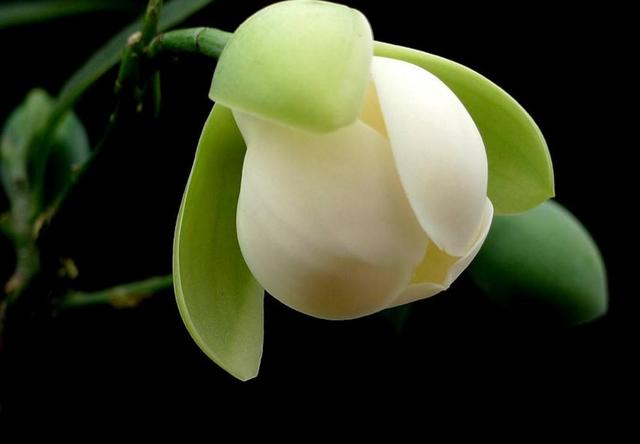 真正有故事的人，往往心如止水