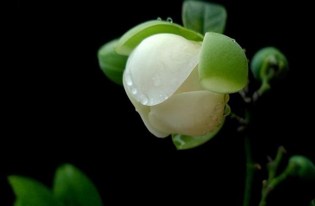 真正有故事的人，往往心如止水