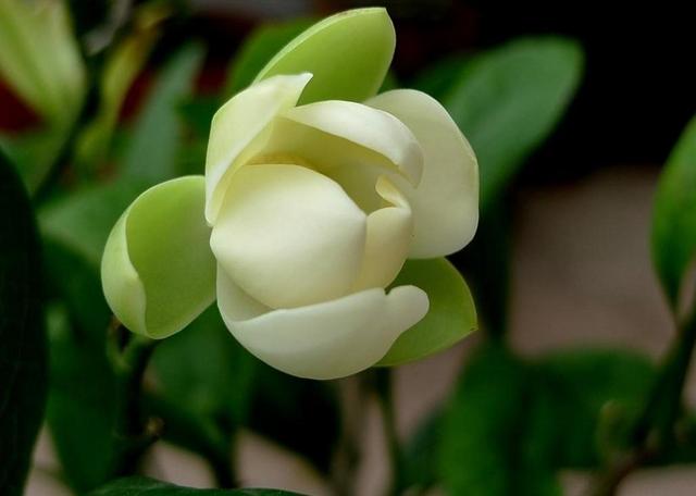 真正有故事的人，往往心如止水