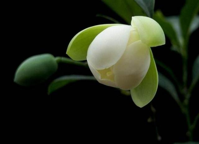 真正有故事的人，往往心如止水