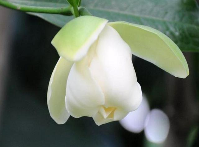 真正有故事的人，往往心如止水