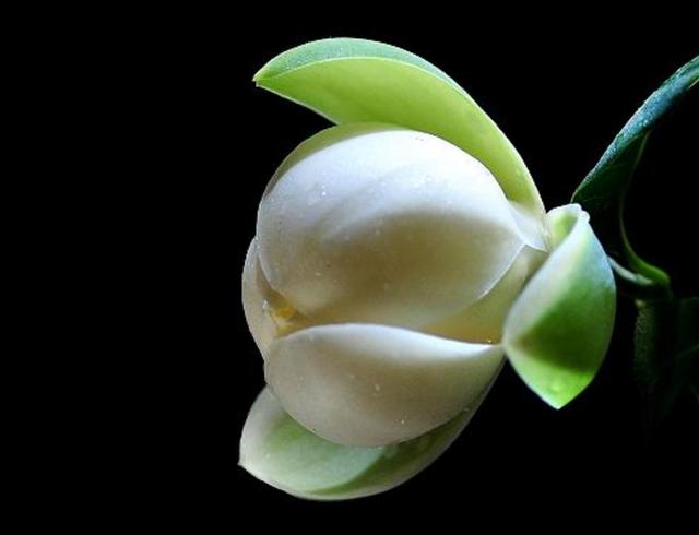 真正有故事的人，往往心如止水