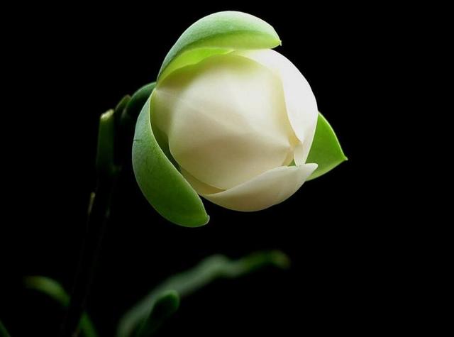 真正有故事的人，往往心如止水