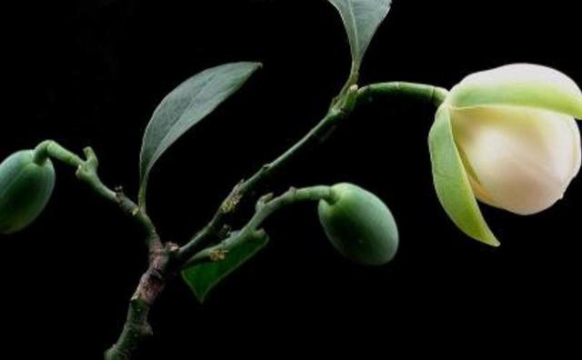 真正有故事的人，往往心如止水