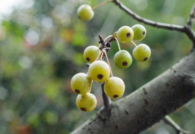 做人留一線，才是安身立命之本