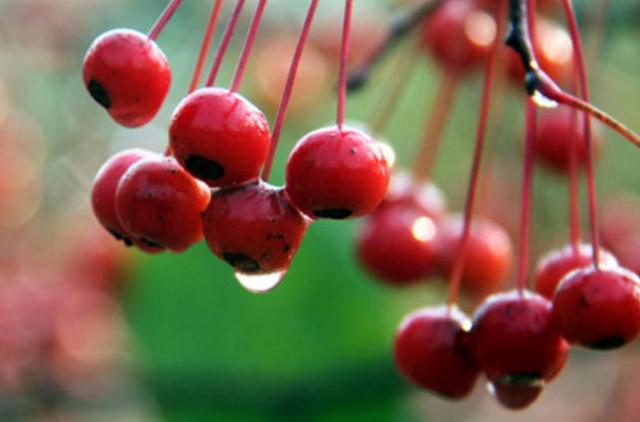 做人留一線，才是安身立命之本