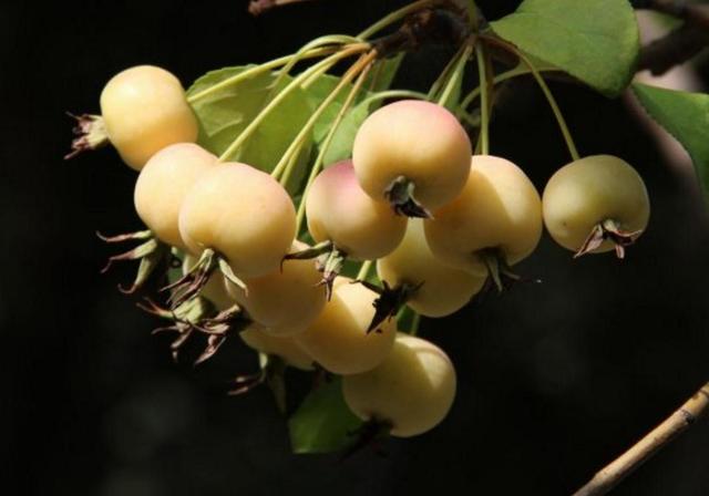 做人留一線，才是安身立命之本