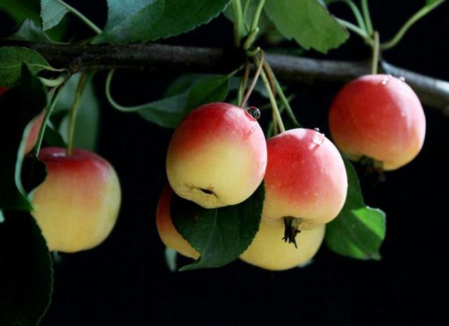 做人留一線，才是安身立命之本