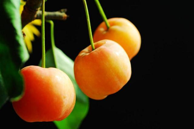 做人留一線，才是安身立命之本