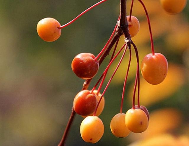 做人留一線，才是安身立命之本