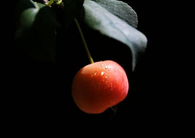 做人留一線，才是安身立命之本