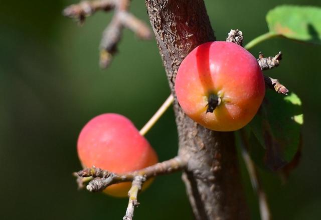 做人留一線，才是安身立命之本