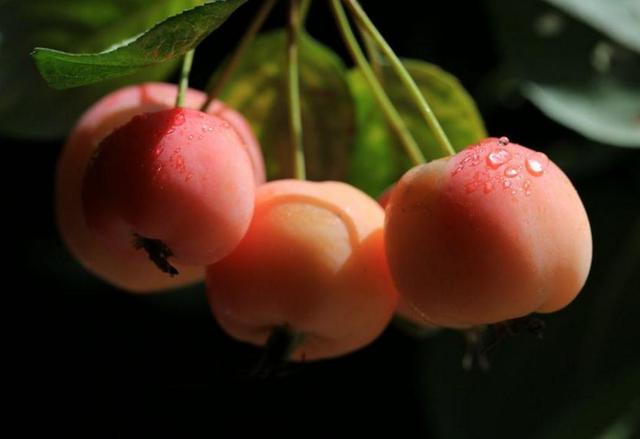 做人留一線，才是安身立命之本