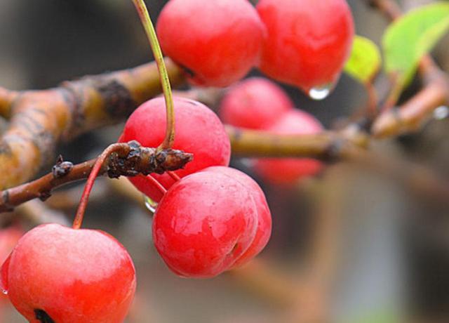 做人留一線，才是安身立命之本