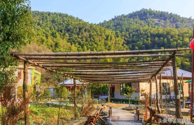 一場大雪令幾十萬投資打了水漂！ 她思路一轉，成功逆襲！