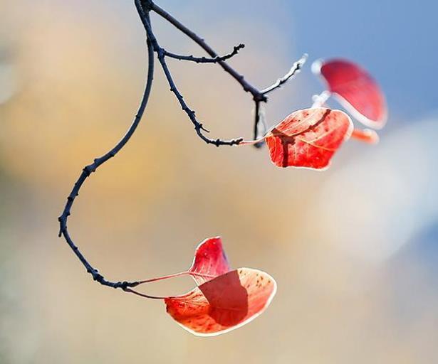 做人，想不開的時候，去這三個地方看看，然後，你就放下了