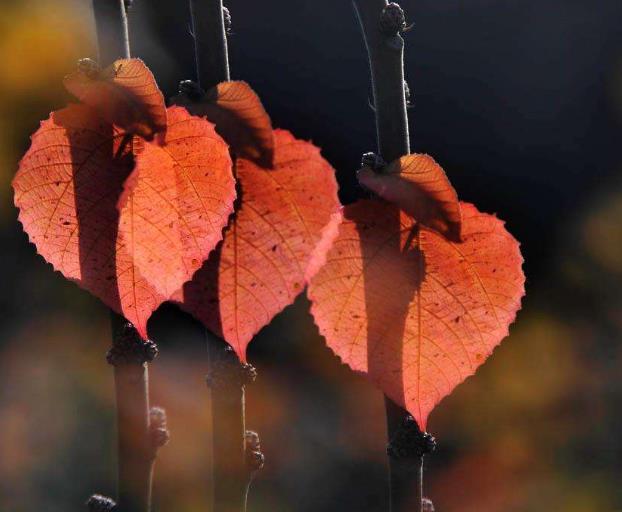 做人，想不開的時候，去這三個地方看看，然後，你就放下了