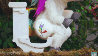 中國式蹲坑席捲全美！ 我們蹲個廁所，怎麼就蹲成了上億的生意？