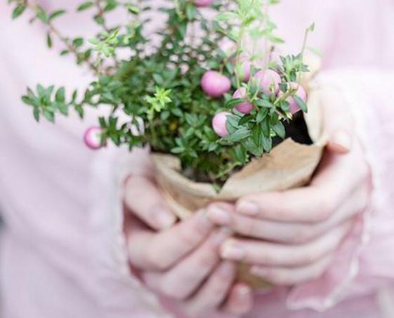 怪是風格，傾向於自我矛盾的星座