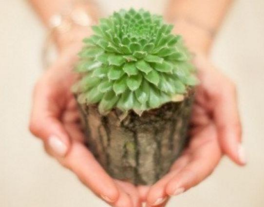 怪是風格，傾向於自我矛盾的星座