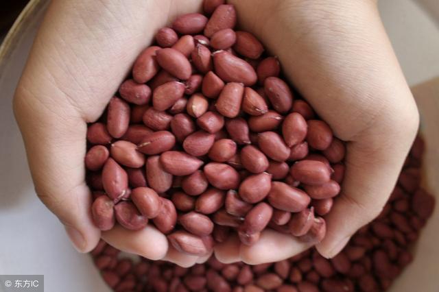 家長必知！ 想提高孩子記憶力，請讓孩子多吃這8種食物！