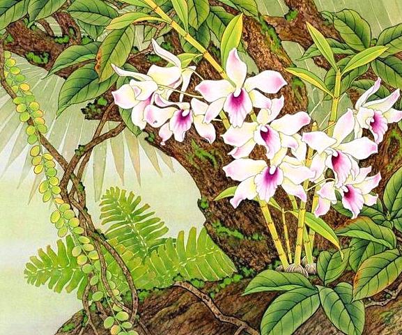 走出抑鬱，從自信開始