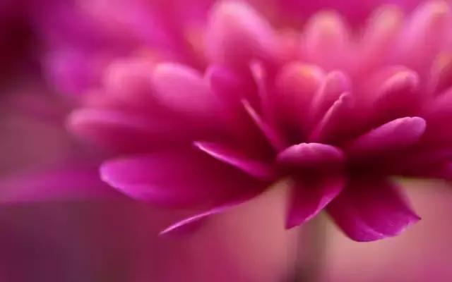 一生（深度好文）