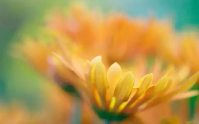 一生（深度好文）