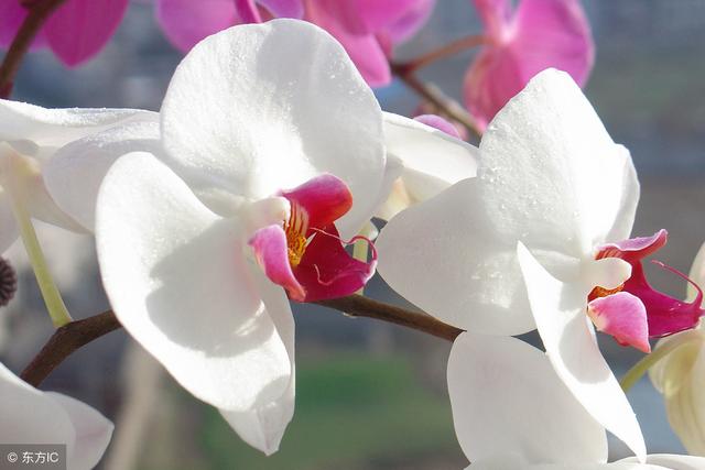 有這樣5種女人的家庭，不窮都不可能