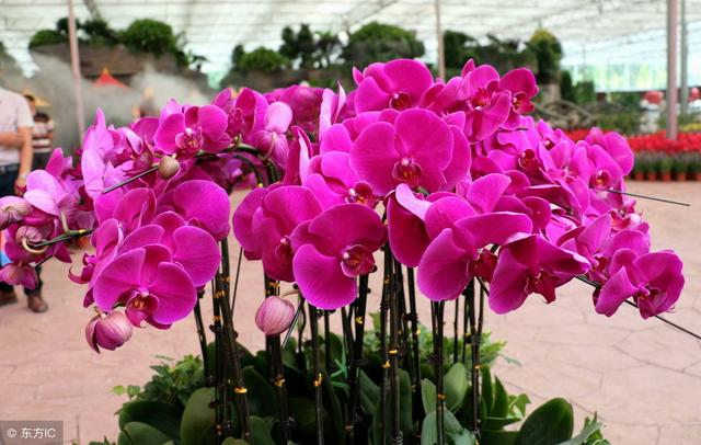 有這樣5種女人的家庭，不窮都不可能