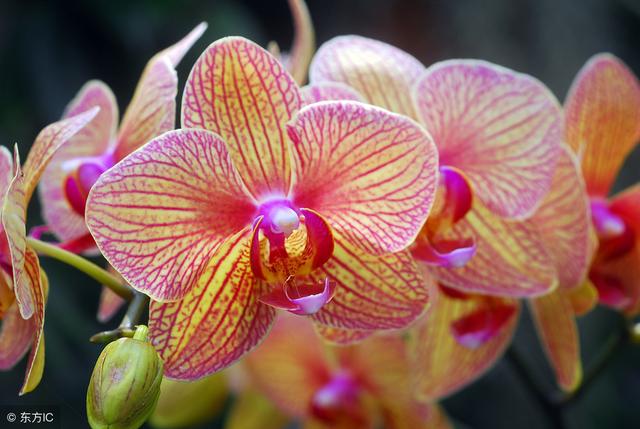 有這樣5種女人的家庭，不窮都不可能