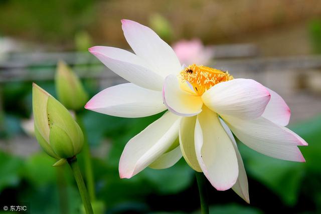 一個總吵著要錢的老人，有這5種揪心